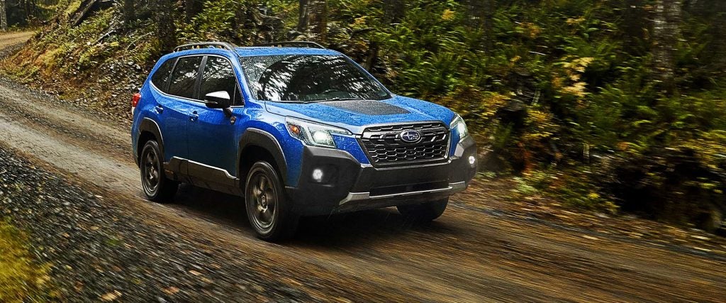 blue suv driving in a forest