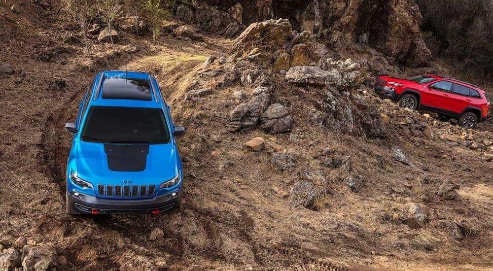 A blue and a red 2020 Jeep Cherokee Trailhawks are driving on a dirt trail.