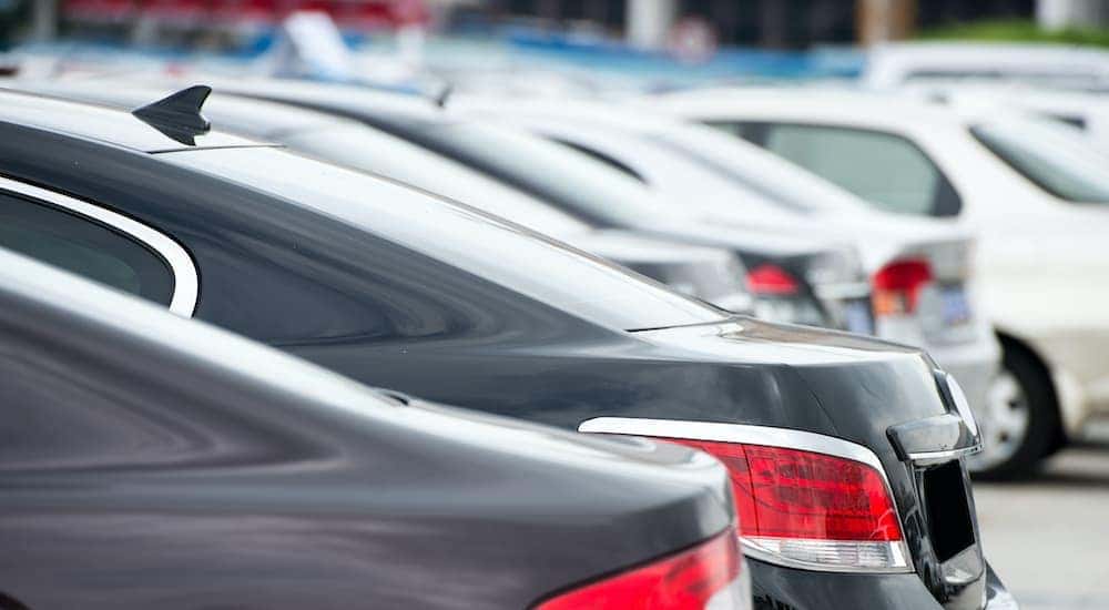 A close up shows the rear ends of a line of cars.