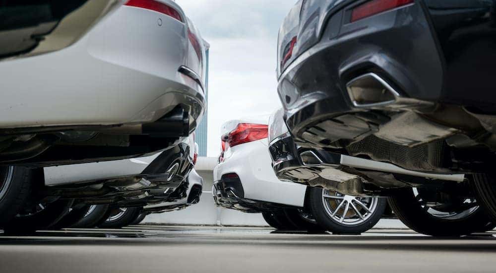 A close up shows the rear end of cars on a Lexington used car lot.