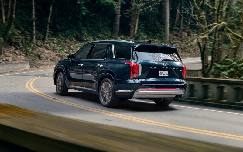 Does my Hyundai Palisade come with emergency roadside assistance?