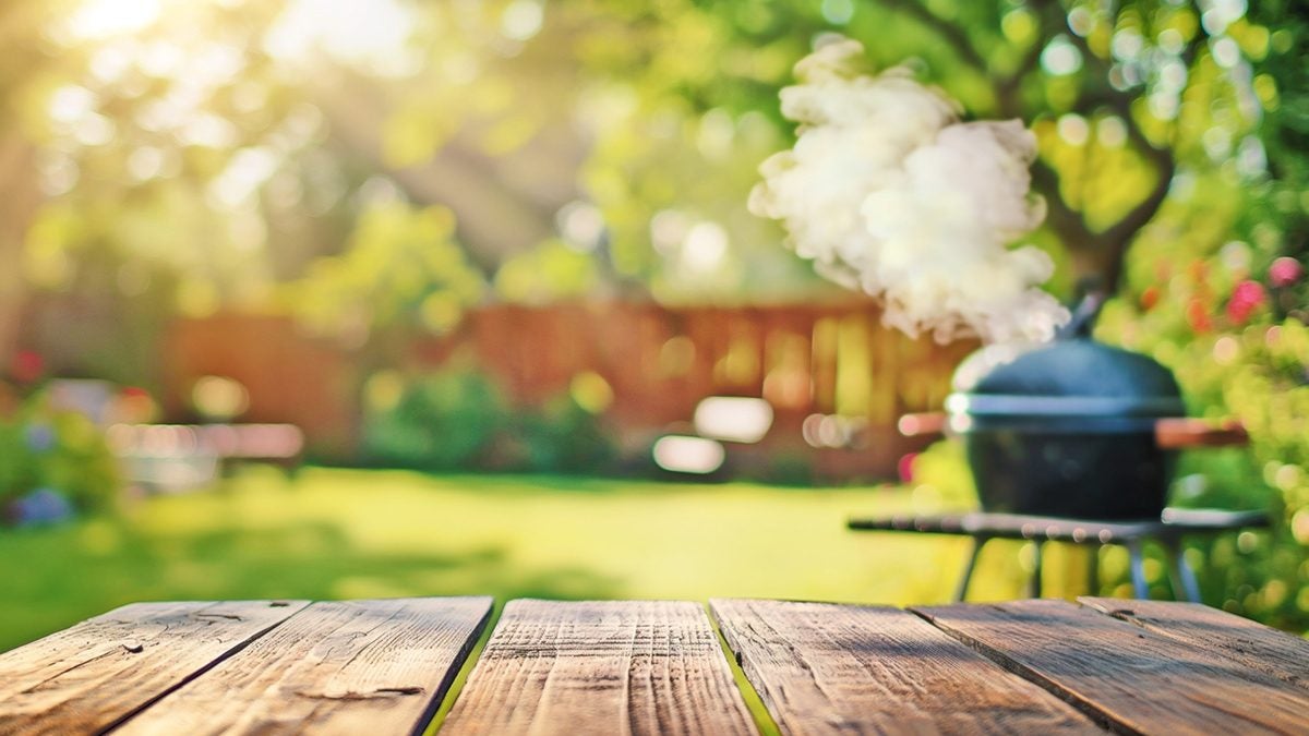 backyard bbq in the summer