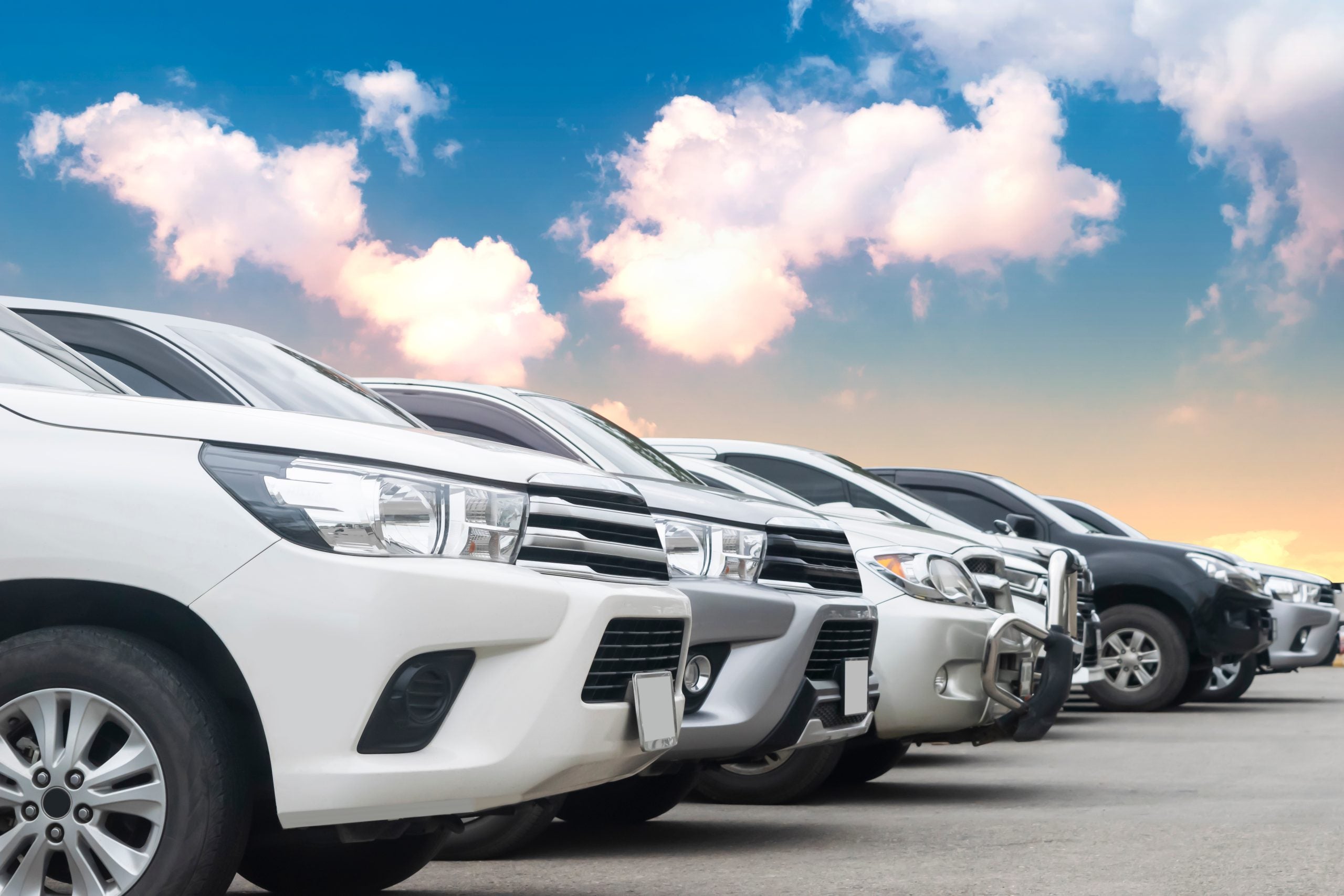 Cars lined up in a dealership