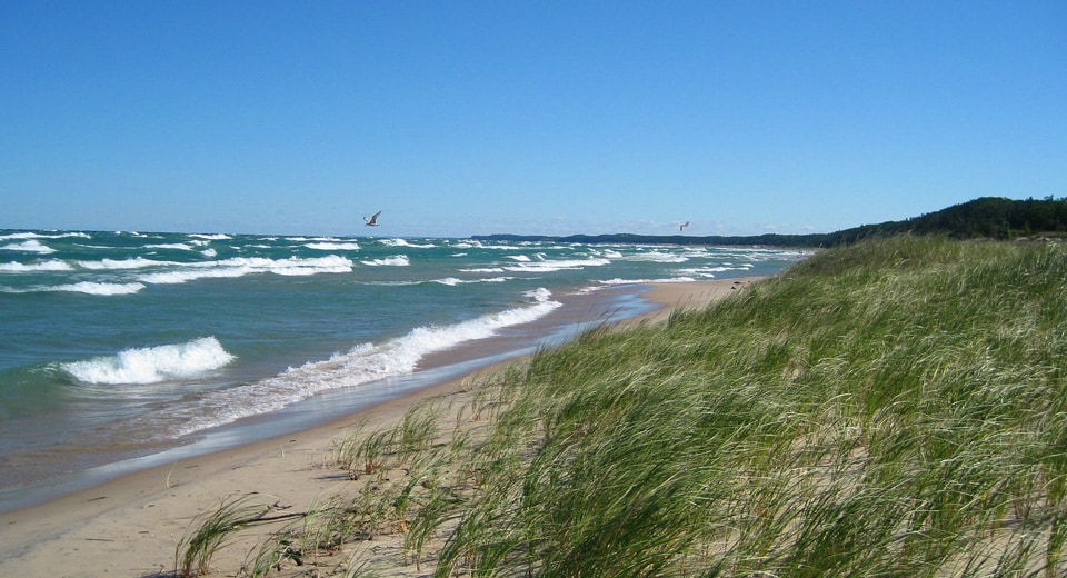Nordhouse Dunes Wilderness Area