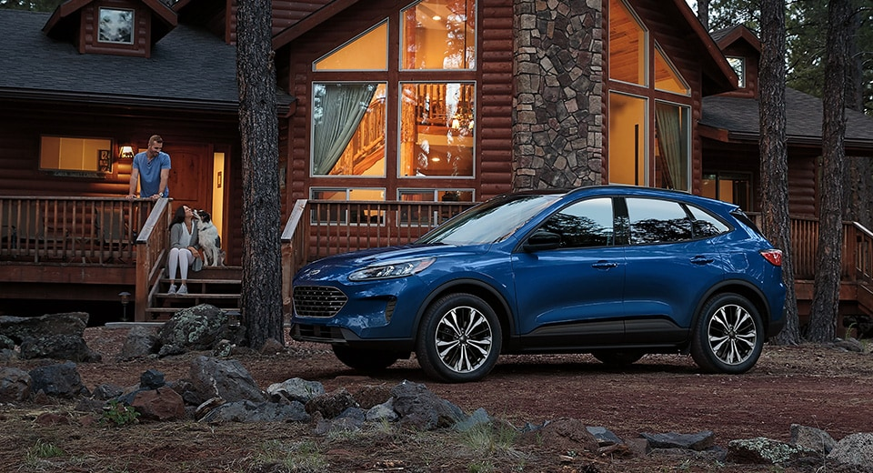 ford vehicle