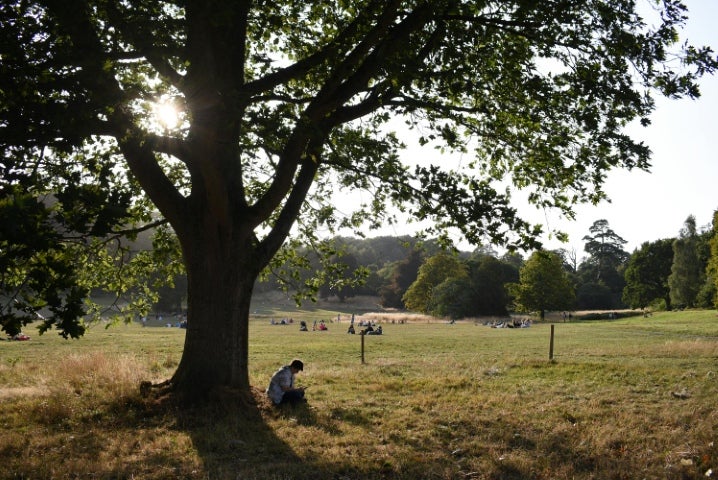 Man sitting under a tree with the plains in the background.