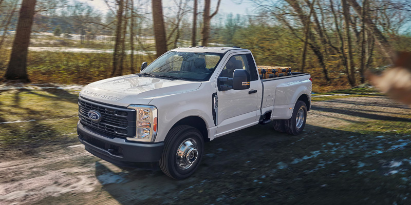 Un camión Ford está estacionado en un camino de la selva.