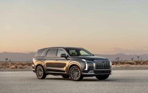 Hyundai outdoors