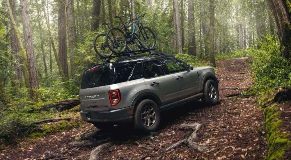 A grey 2021 Ford Bronco Sport is shown on a trail after looking at used SUVs for sale.