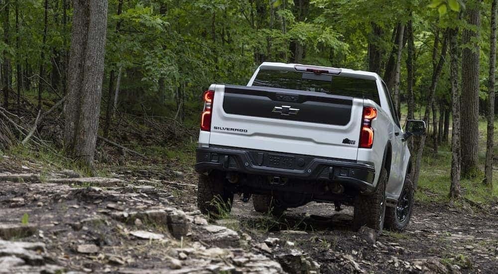 A white 2023 Chevy Silverado ZR2 Bison is shown from the rear in the woods after leaving a Chevy truck dealer near you.