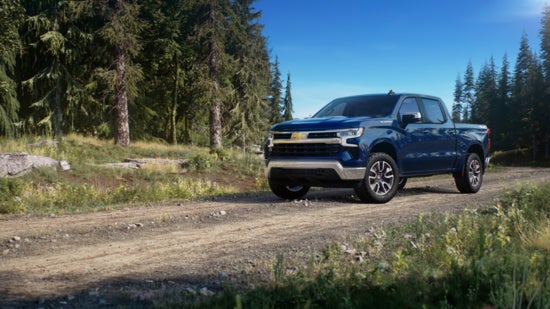 dark blue Chevy Silverado parked off road next to a forest 