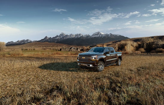 Chevy Silverado parked on a pasture of a farm with mountains in the background