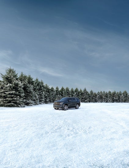 Chevy Suburban parked in a snowy pasture in the winter
