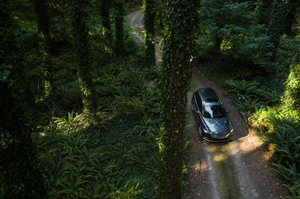birds eye view of a gray Mazda driving on a rural road through a dense forest 