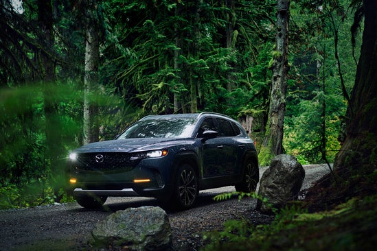 gray Mazda SUV driving through a dense forest with its headlights on