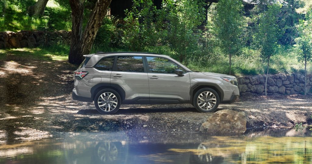 Subaru SUV - Forester