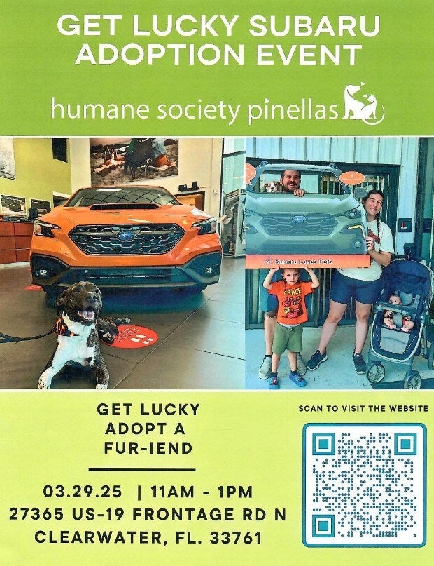 Get Lucky Subaru Adoption Event