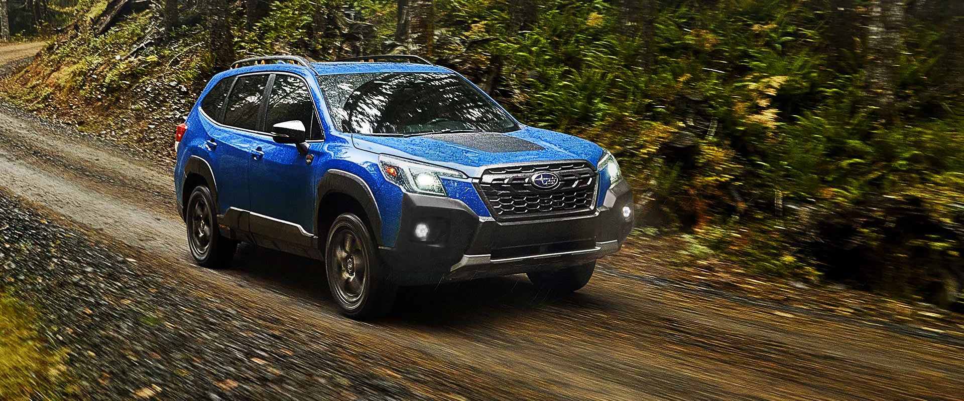 forester 2022