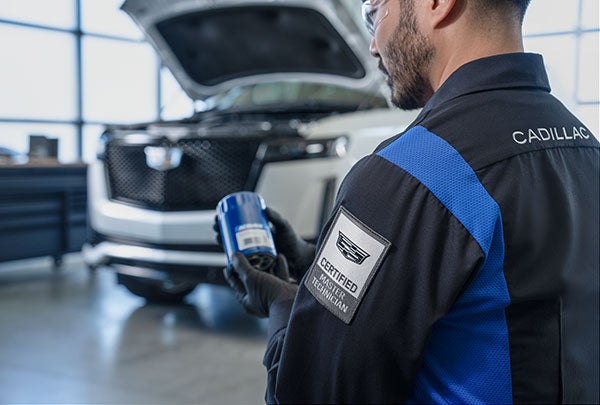 Critical Auto Maintenance