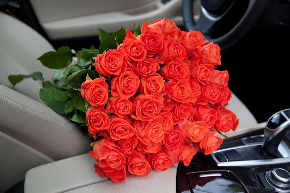 Valentine’s 2026 Date Ideas Around Clearwater