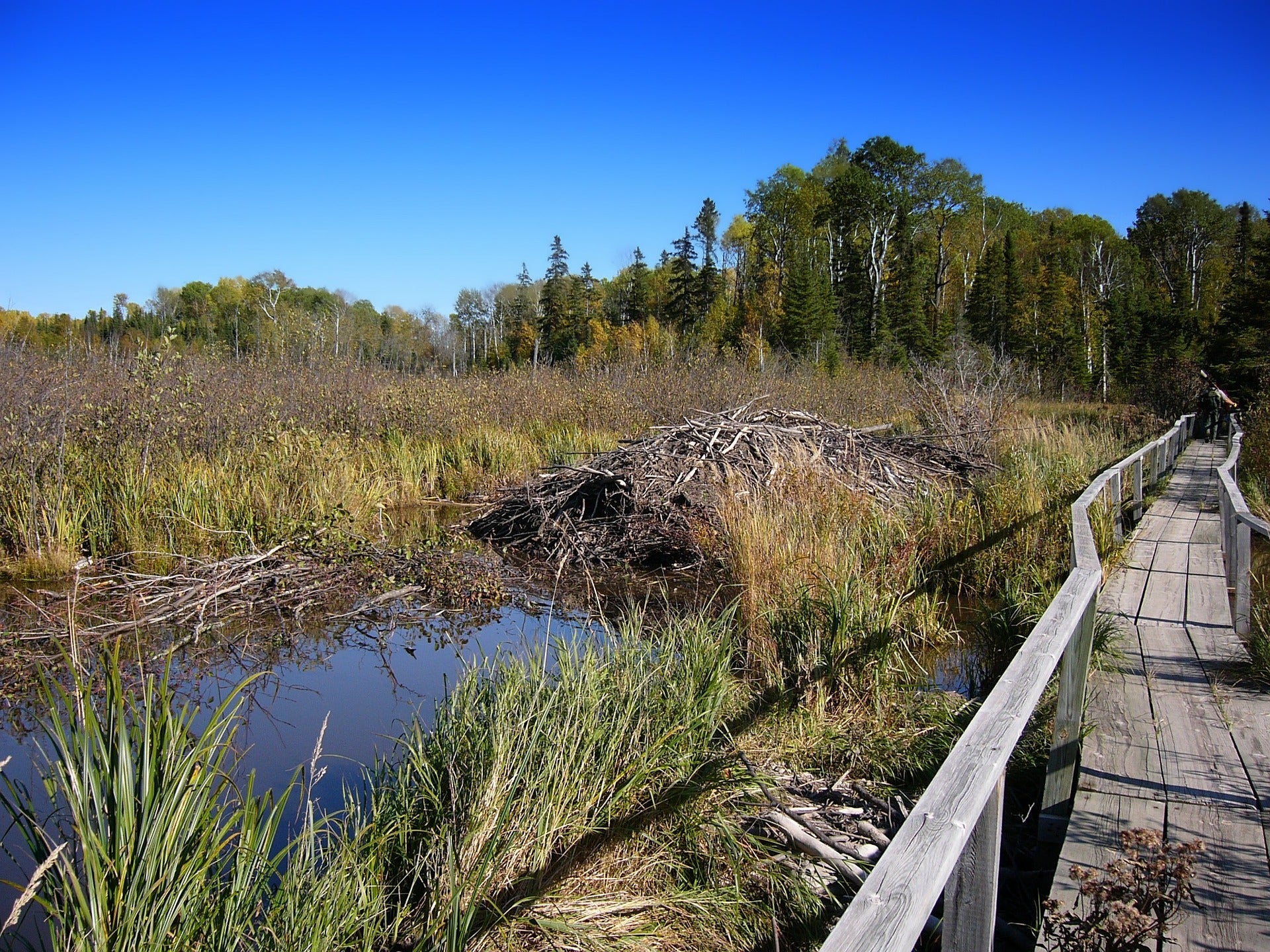 4 Great Kid-Friendly Activities for Families in Fergus Falls, MN