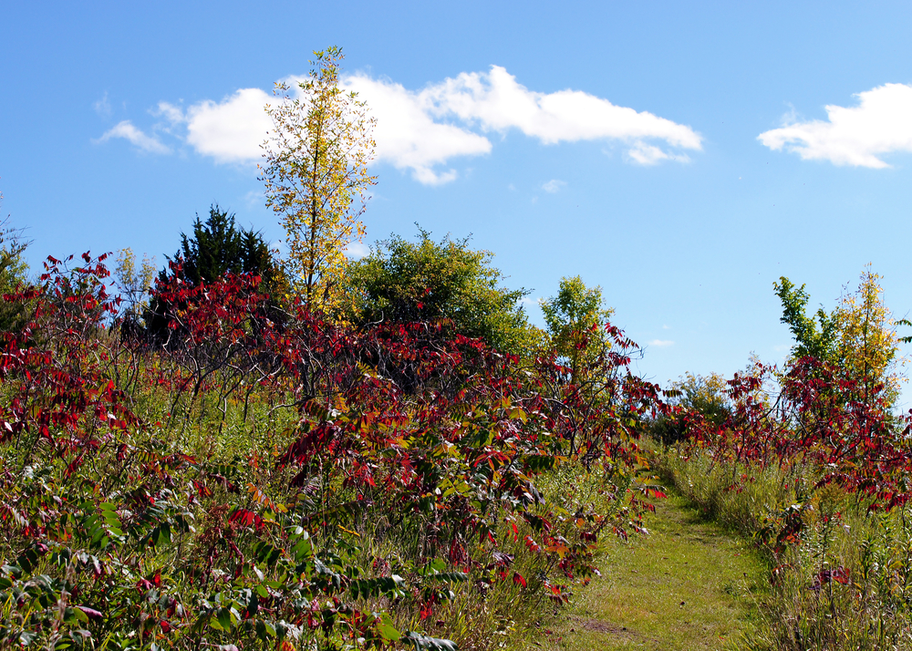 5 Things to Love About Living in Fergus Falls, MN
