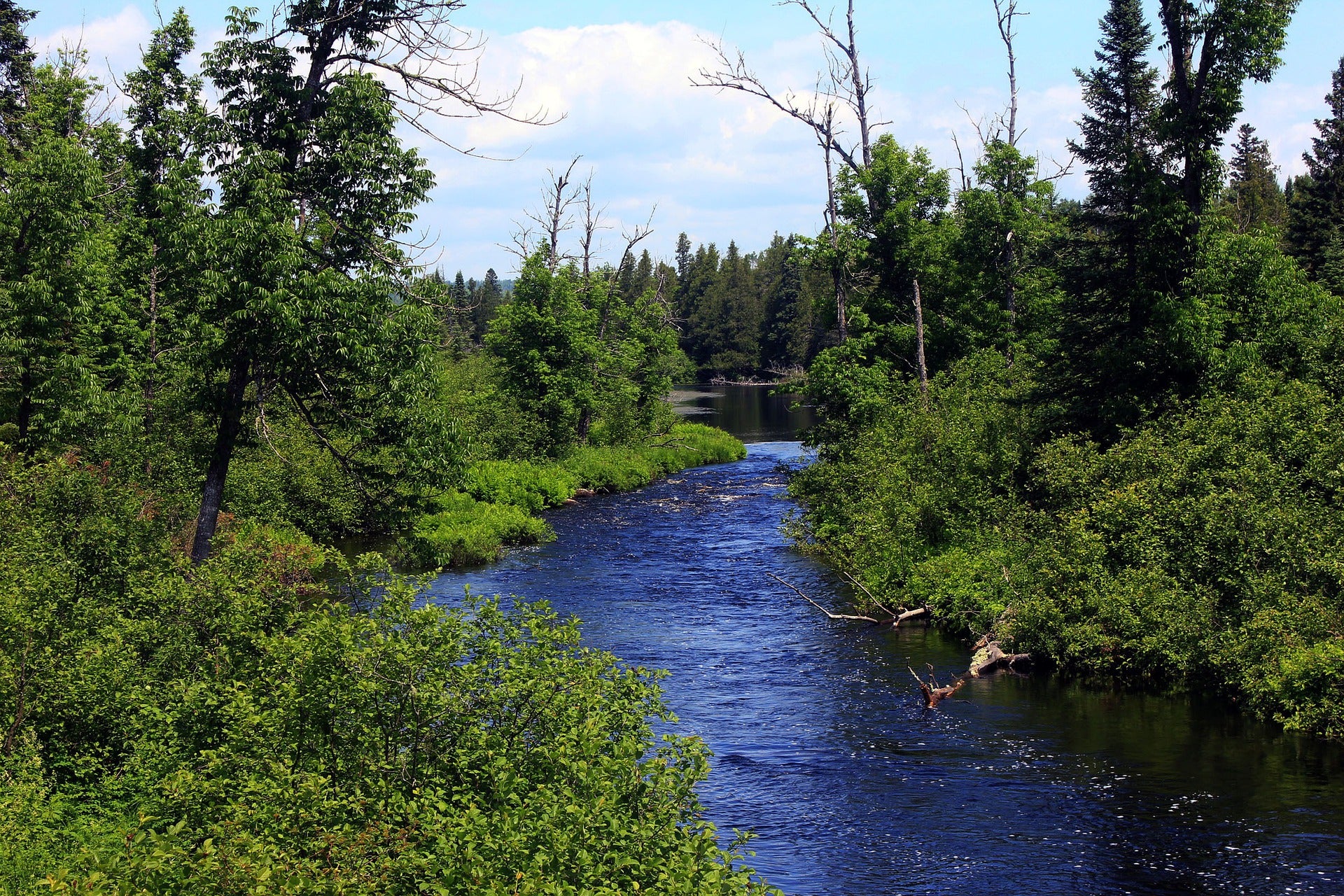 3 Fun Day Trips You Can Take From Fergus Falls, MN