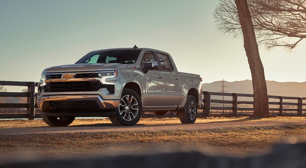 Grey 2023 Chevy Silverado 1500 Z71 parked near a ranch fence.