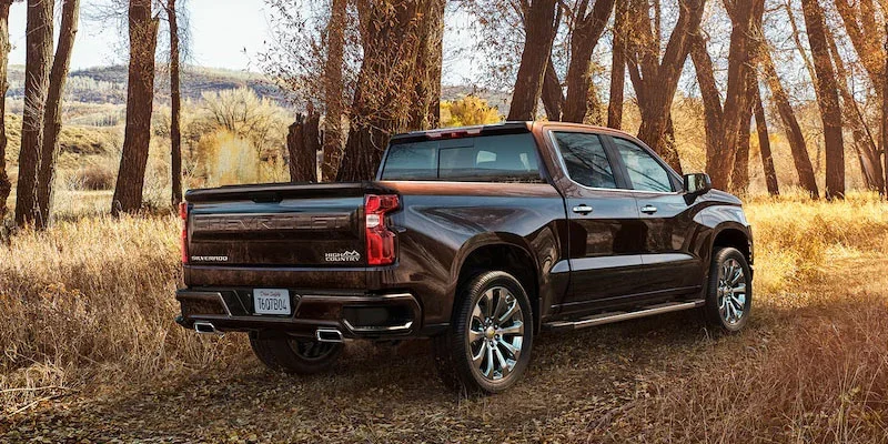 The back of a Black Chevrolet Silverado 1500 on a forest road
