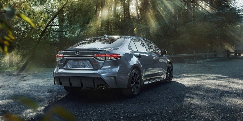 Rear view of gray Toyota sedan parked on a forested road with sunlight filtering through the trees.