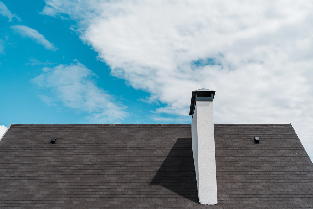 Roof Rejuvenation Treatment by Revive My Roof.