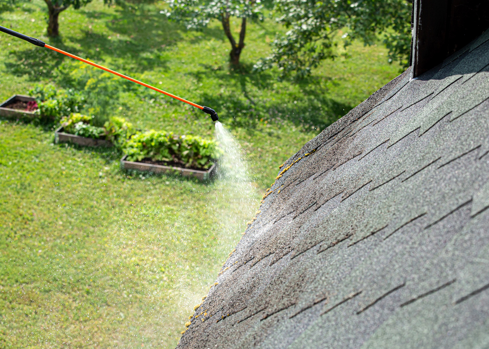 roof cleaning near me