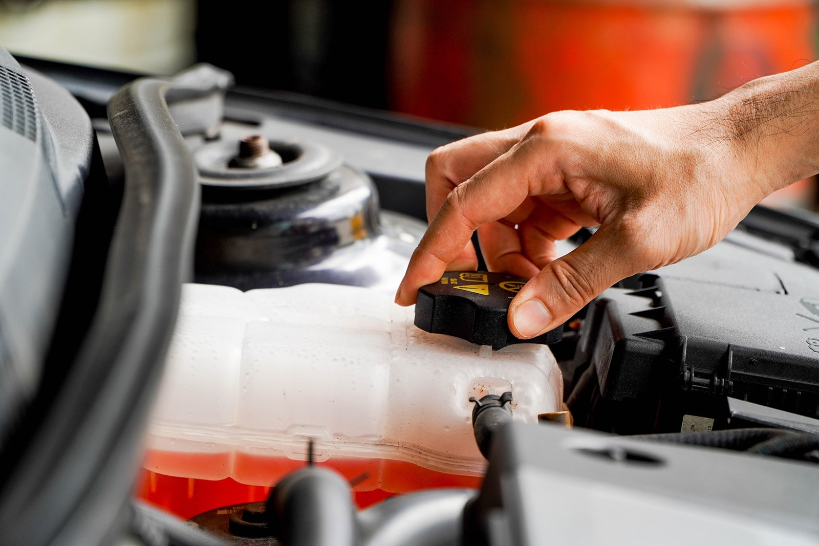 Coolant and Brake Fluid