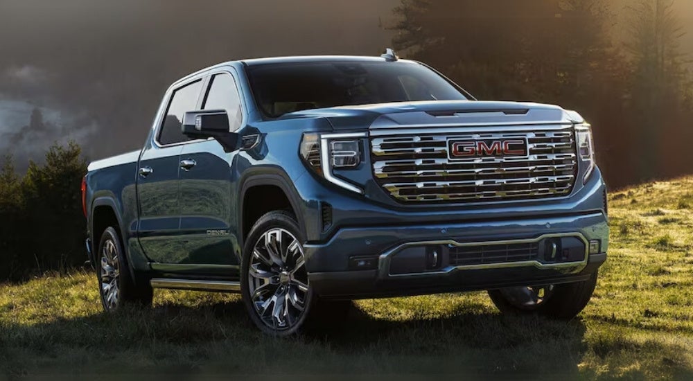 A blue 2025 GMC Sierra 1500 Denali parked off-road on grass