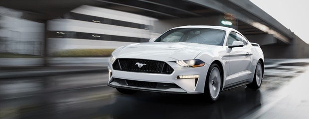 Mustang