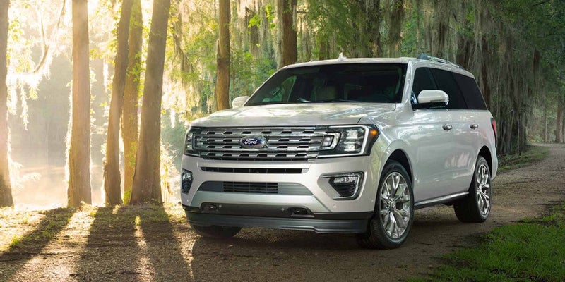 A white Ford Expedition SUV parked on a dirt road in a sun-dappled forest with cypress trees draped in Spanish moss.