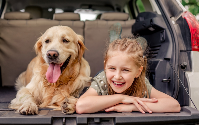 A smiling young girl and a golden retriever lying together in the open trunk of a car