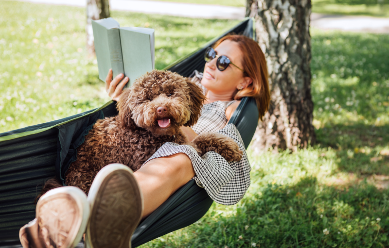 A woman in sunglasses and a brown curly-haired dog relax together in a green hammock, reading a book.