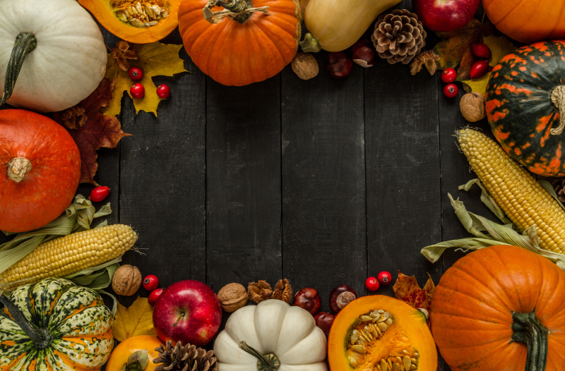 Fall gourds, pumpkins, corn, apples, pinecones, and colorful leaves frame a dark wooden background.
