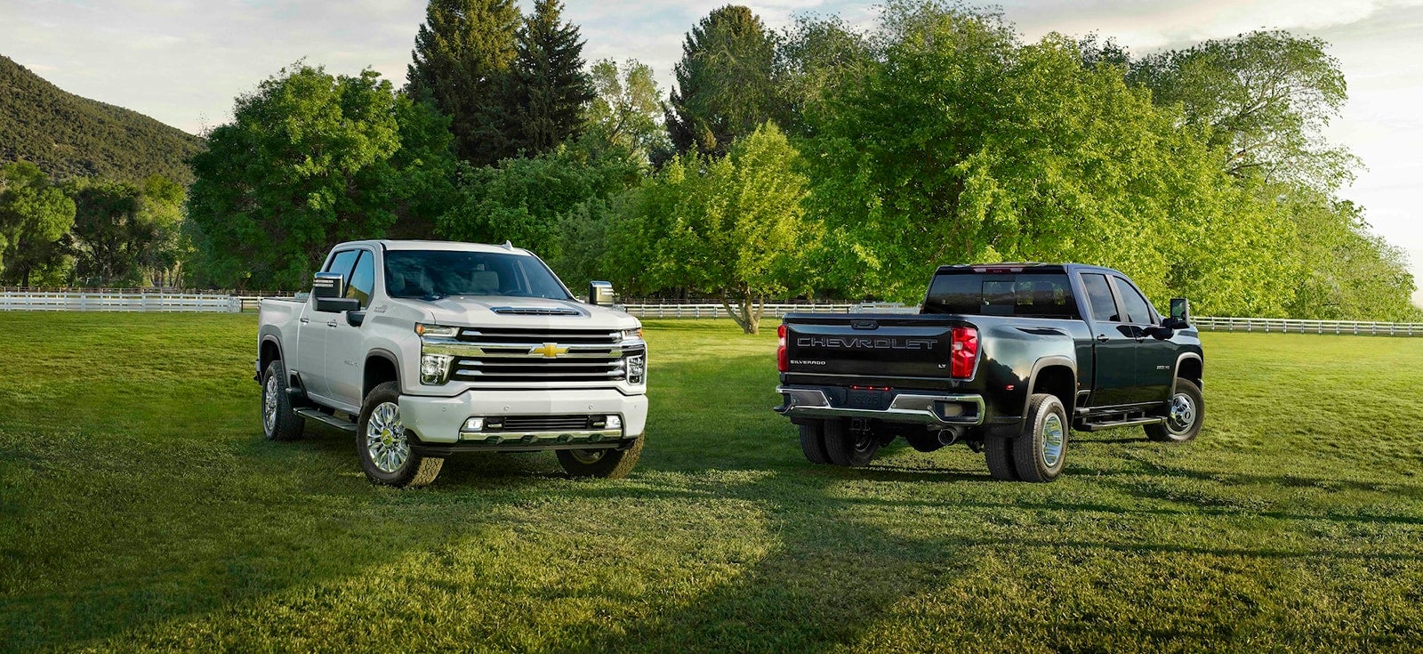 Chevy Diesel trucks on grass.