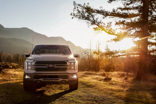 Ford pickup truck parked in scenic mountain meadow at sunrise, sunlight filtering through trees