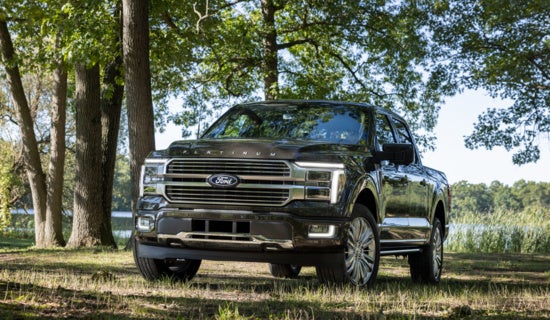 Black Ford F-150 pickup truck parked on grassy ground with trees and green foliage in background, showcasing rugged design