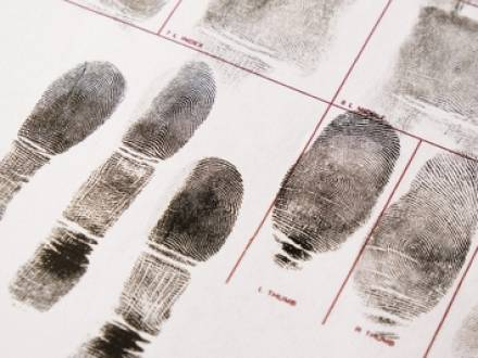 What Happens if I Am Accused of Violating Probation?