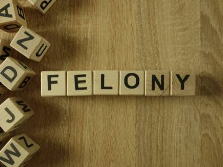 The Long-Term Impact of a Felony Conviction