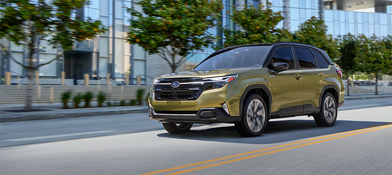 Subaru Forester Wilderness