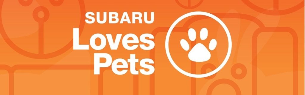 Subaru loves pets
