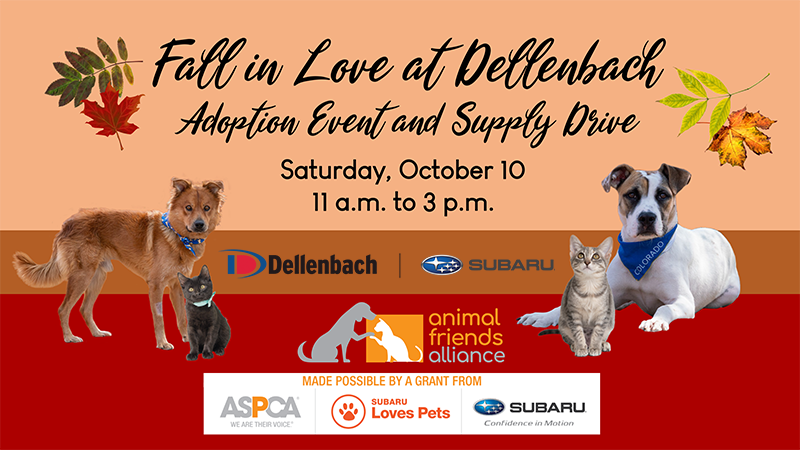 fall in love at dellenbach event