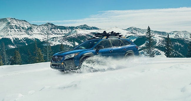Subaru SUV on forest dirt road