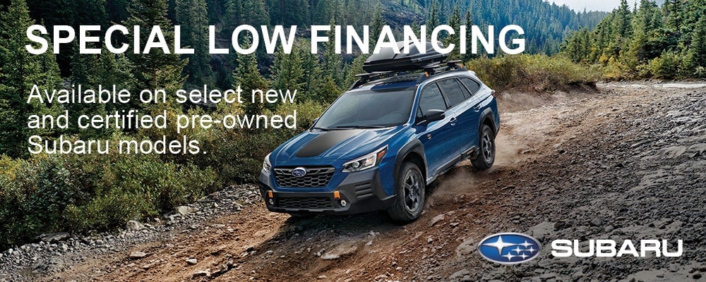 Subaru Forester Wilderness driving on forests road