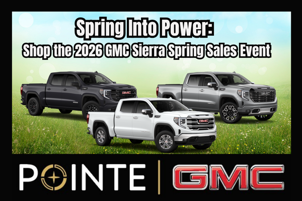 spring into sierra